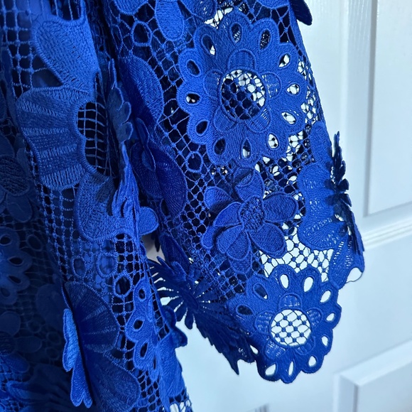 Elegant Blue Lace Dress - Picture 3 of 16
